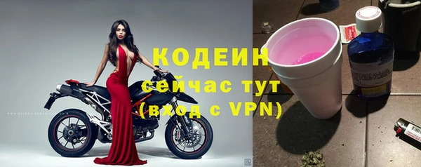 дживик Майский