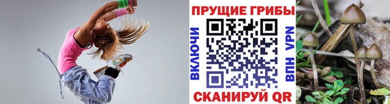 Псилоцибиновые грибы мухоморы купить omg зеркало Суворов