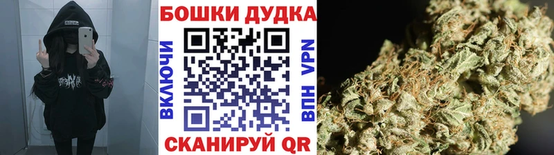 kraken ссылки  Суворов  МАРИХУАНА марихуана  продажа наркотиков 